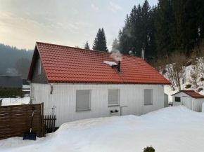 Detached holiday home with fenced garden in beautiful Thuringia, Schmiedefeld Am Rennsteig